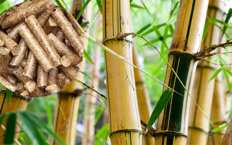 biomass fuel pellets-bamboo