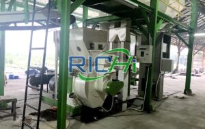wood pellet production line in Indonesia