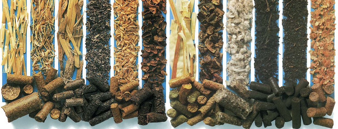 biomass raw materials