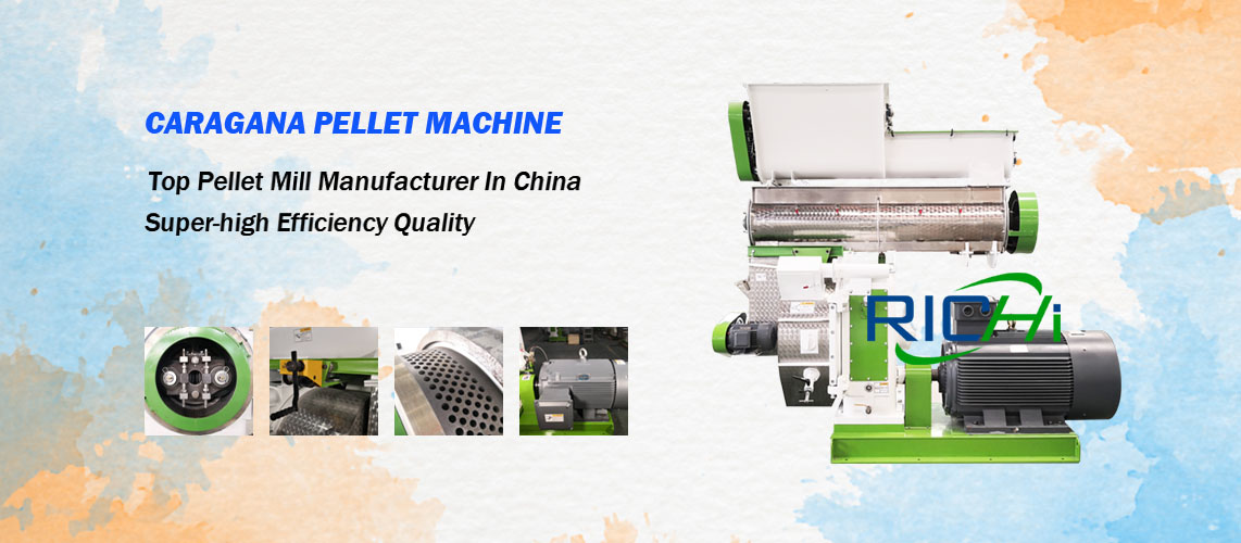 Why Customer Choose RICHI Caragana Pellet Mill