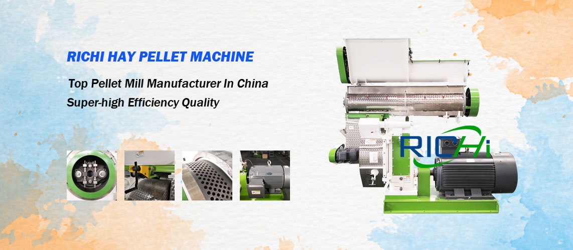 Why Customer Choose RICHI Hay Pellet Machine