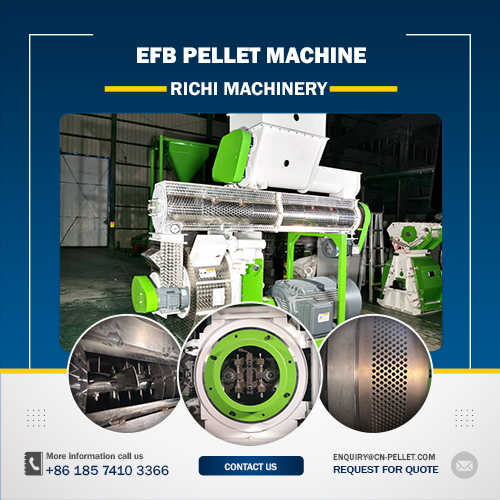 richi efb pellet machine for sale