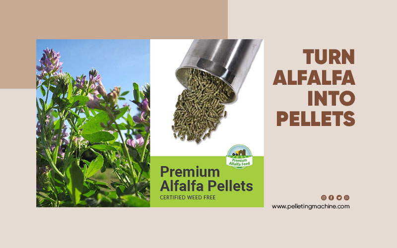turn-alfalfa-into-pellets