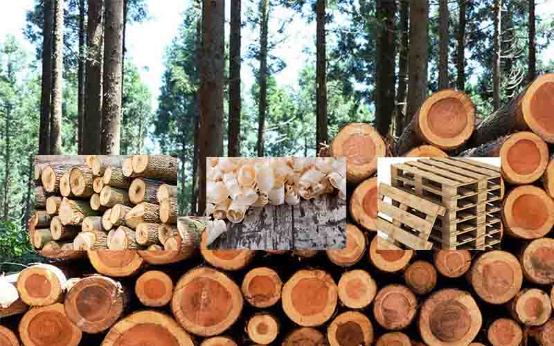 wood sawdust raw materials