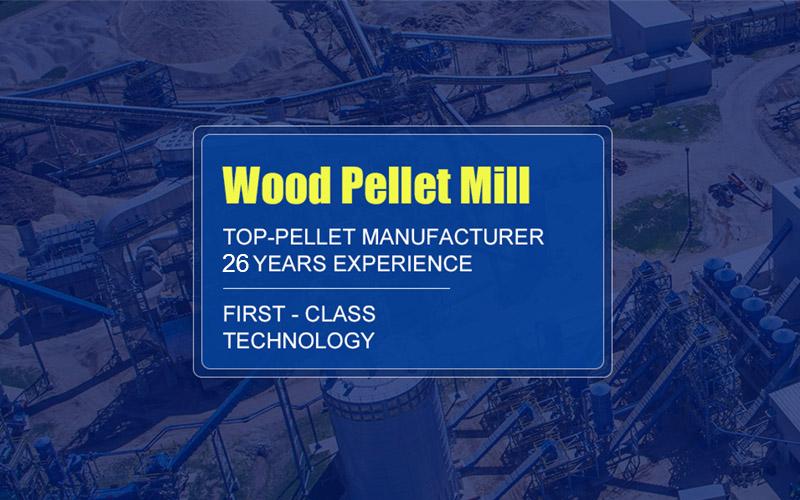 27Years Experience of Wood Pellet Mill For Sale