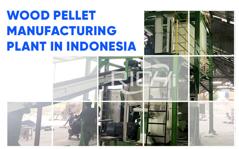 wood pellet manufacturing plant in indonesia