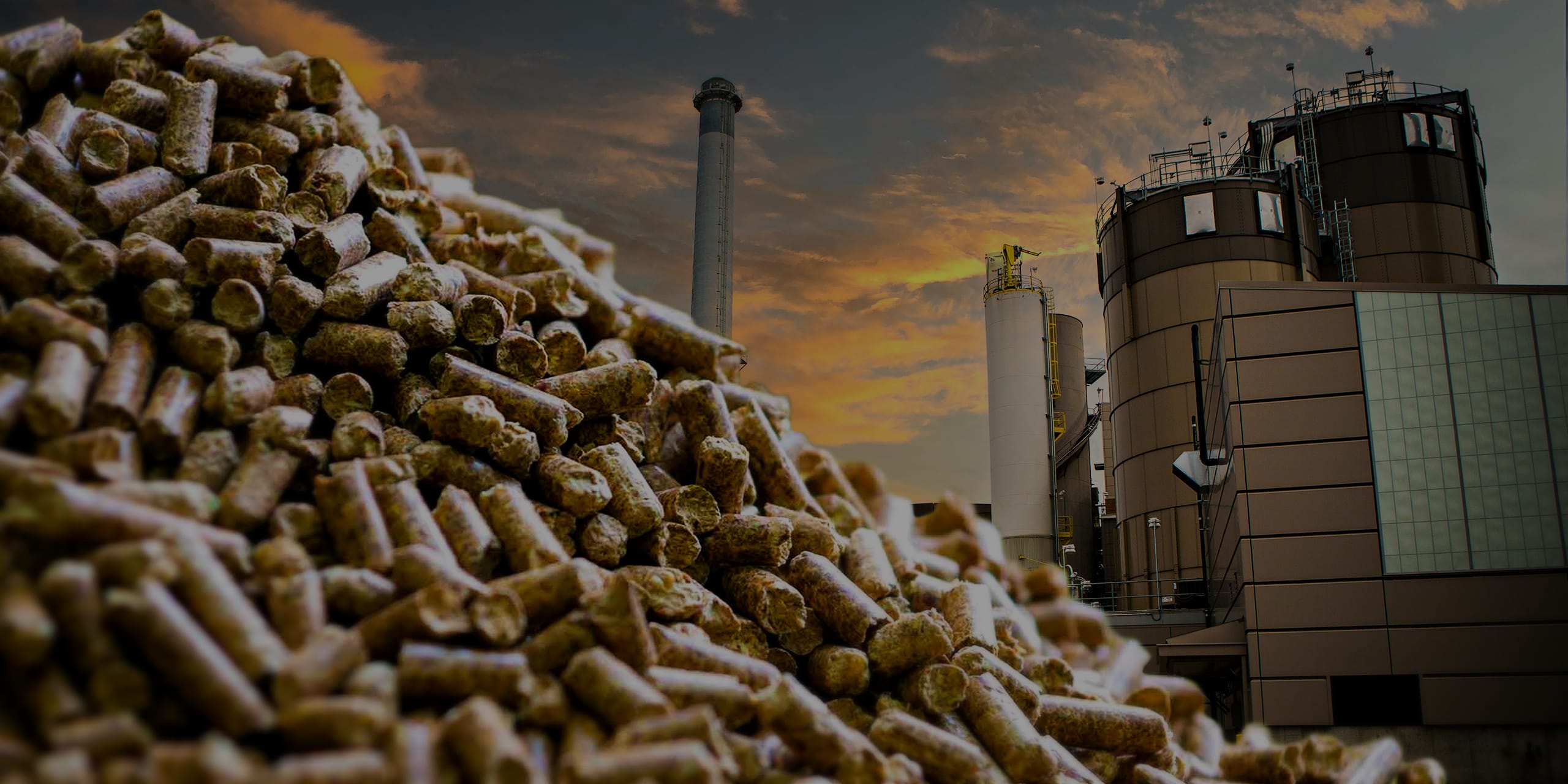 BIOMASS PELLET PRODUCTION LINE