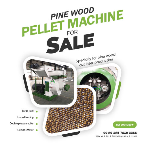 RICHI Pine Wood Pellet Machine For Sale