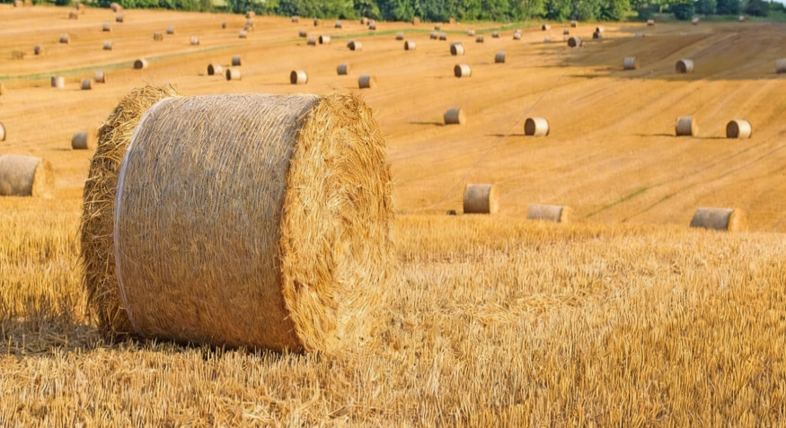 straw pellet machine