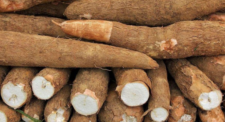 Cassave Pellet Machine