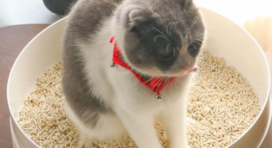 CAT LITTER PELLET MACHINE