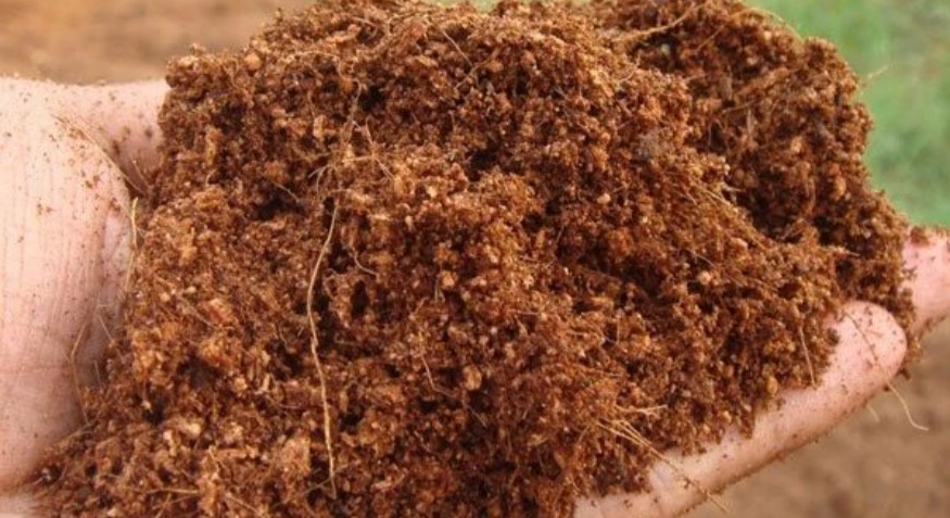 coco peat Pellet Machine