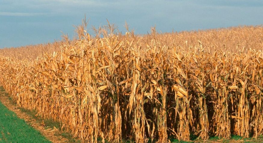 Biomass Pellet Machine