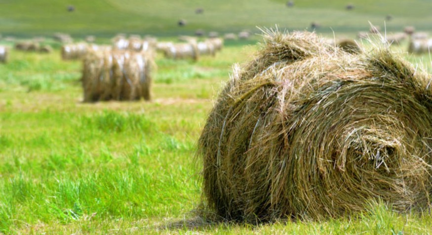 GRASS PELLET MACHINE