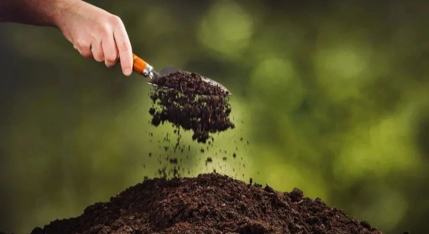 Organic fertilizer pellet machine