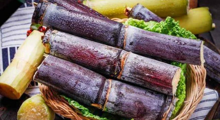 Bagasse Pellet Machine