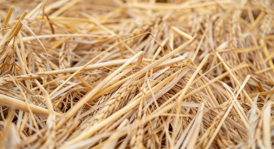 Straw Pellet Machine