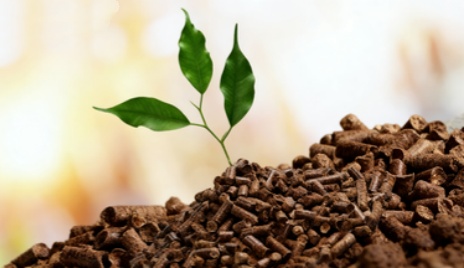 Chicken manure pellets