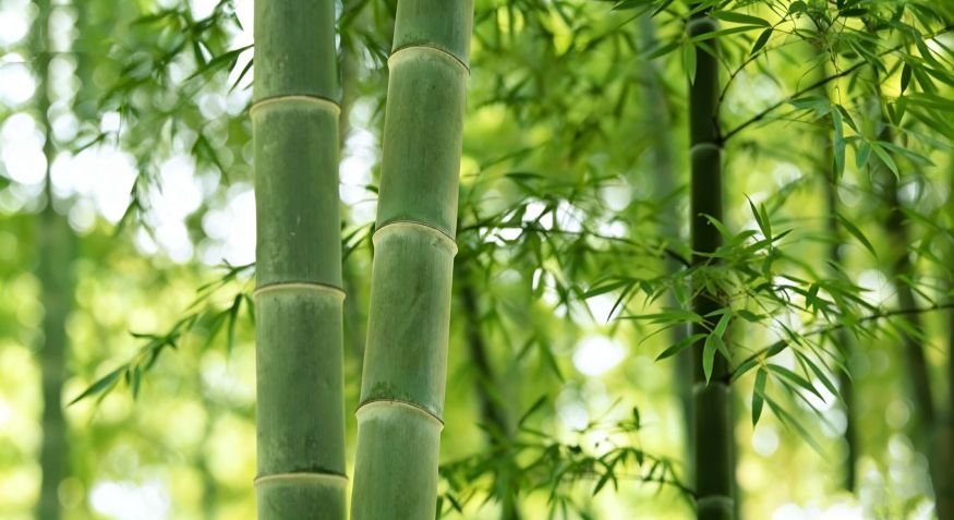 bamboo pellet machine