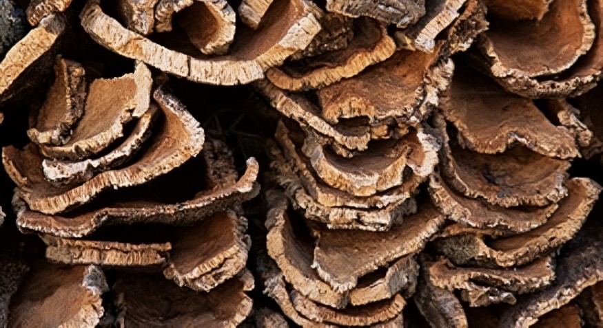 bark pellet production line