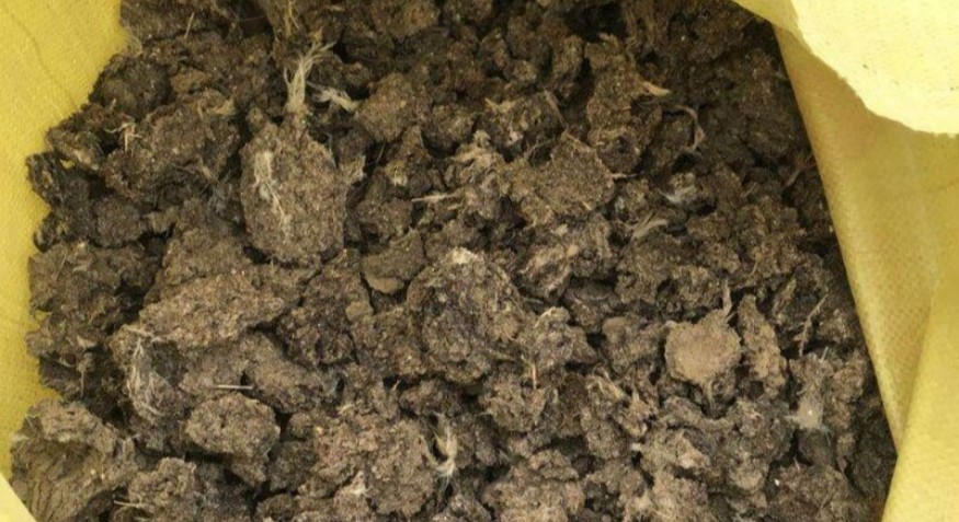 chicken manure pellet machine