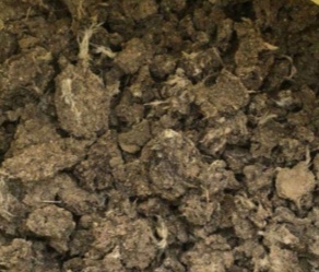chicken manure