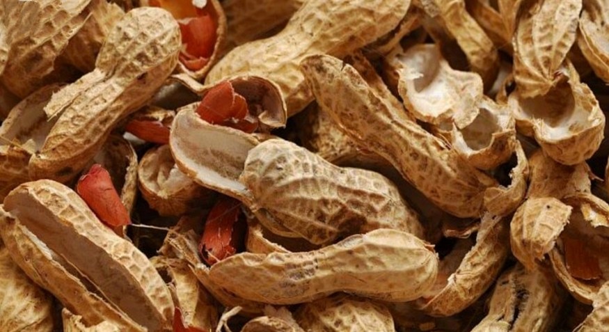 peanut shell