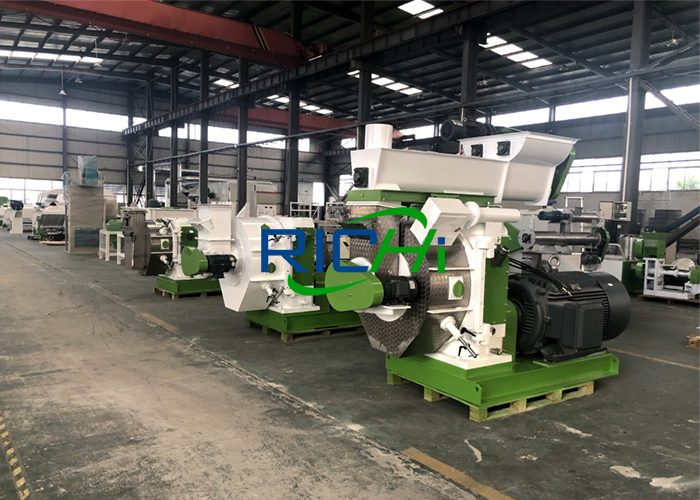 Wood Pellet Machine Complete Pellet Mill For Sale RICHI Machinery